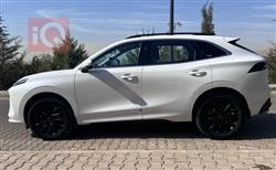 دونج فينج T5 EVO